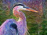 Great Blue Heron_DSCF03189art